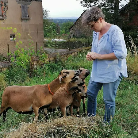 La Consolante D'ambur B&B